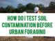 How Do I Test Soil Contamination Before Urban Foraging