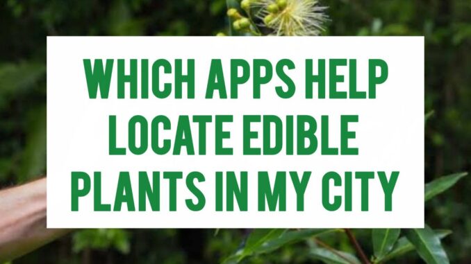 Which Apps Help Locate Edible Plants In My City Which Apps Help Locate Edible Plants In My City