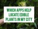 Which Apps Help Locate Edible Plants In My City