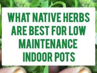 What Native Herbs Are Best For Low-Maintenance Indoor Pots