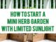 How To Start A Mini Herb Garden With Limited Sunlight