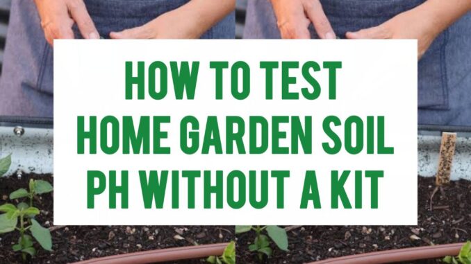 How To Test Home Garden Soil pH Without A Kit How To Test Home Garden Soil pH Without A Kit