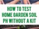 How To Test Home Garden Soil pH Without A Kit