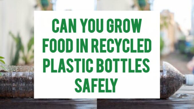 Can You Grow Food In Recycled Plastic Bottles Safely