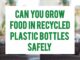 Can You Grow Food In Recycled Plastic Bottles Safely